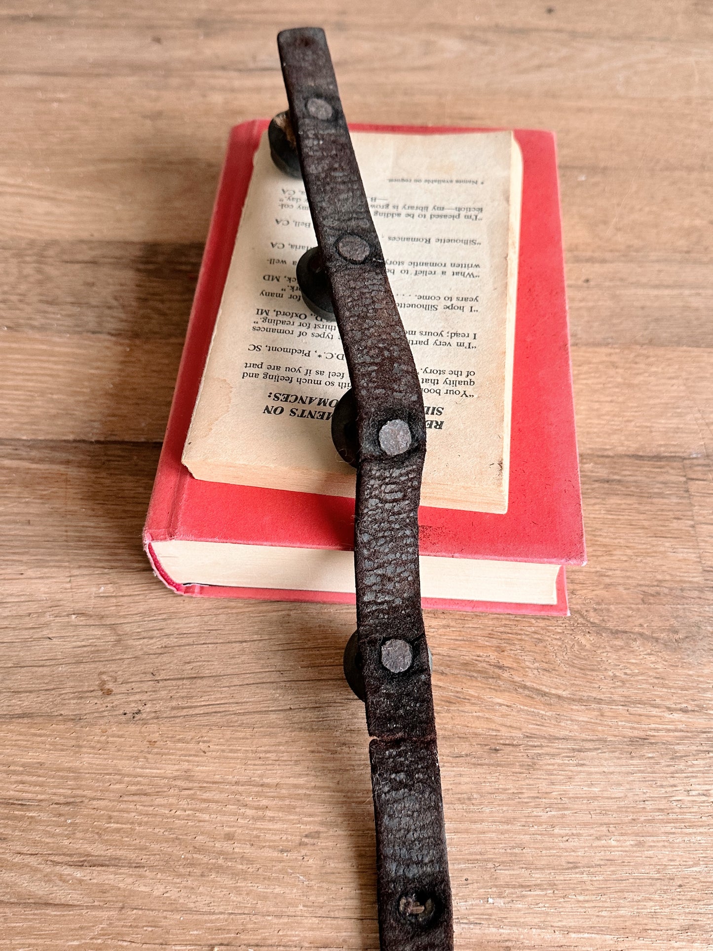 Antique Sleigh Bells