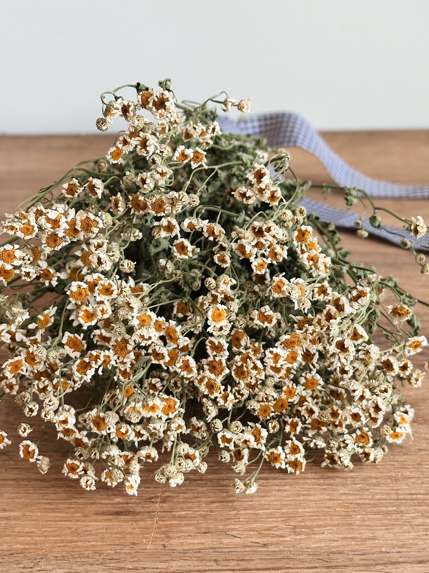 Dried Feverfew