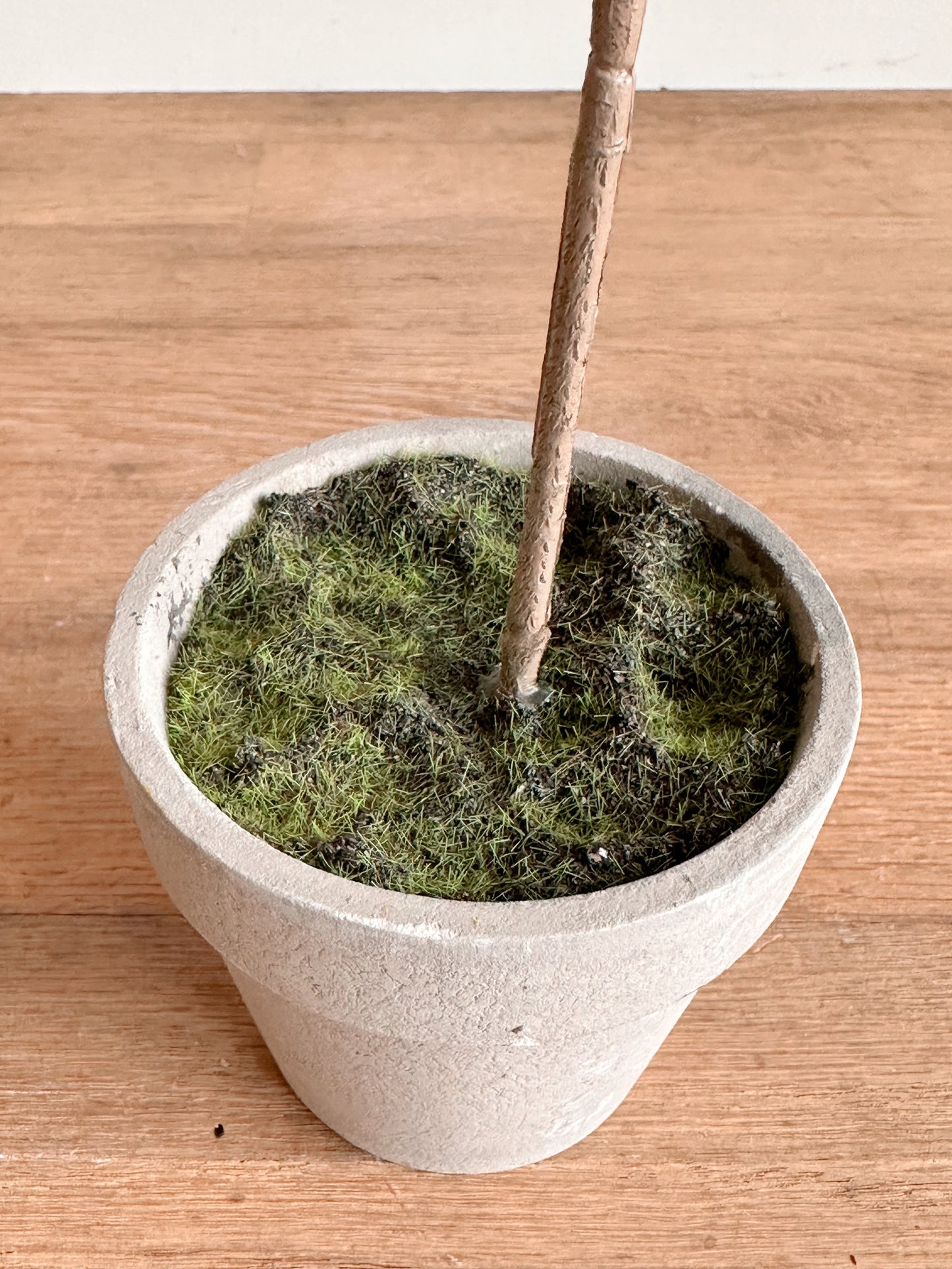 Faux Thyme Topiary