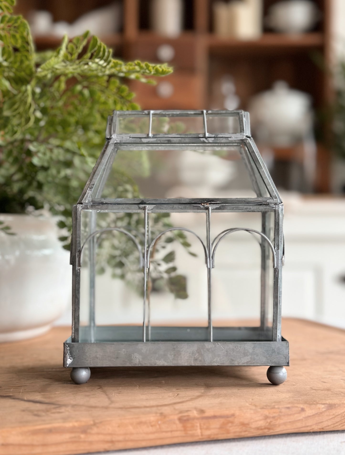 Archway Glass Terrarium