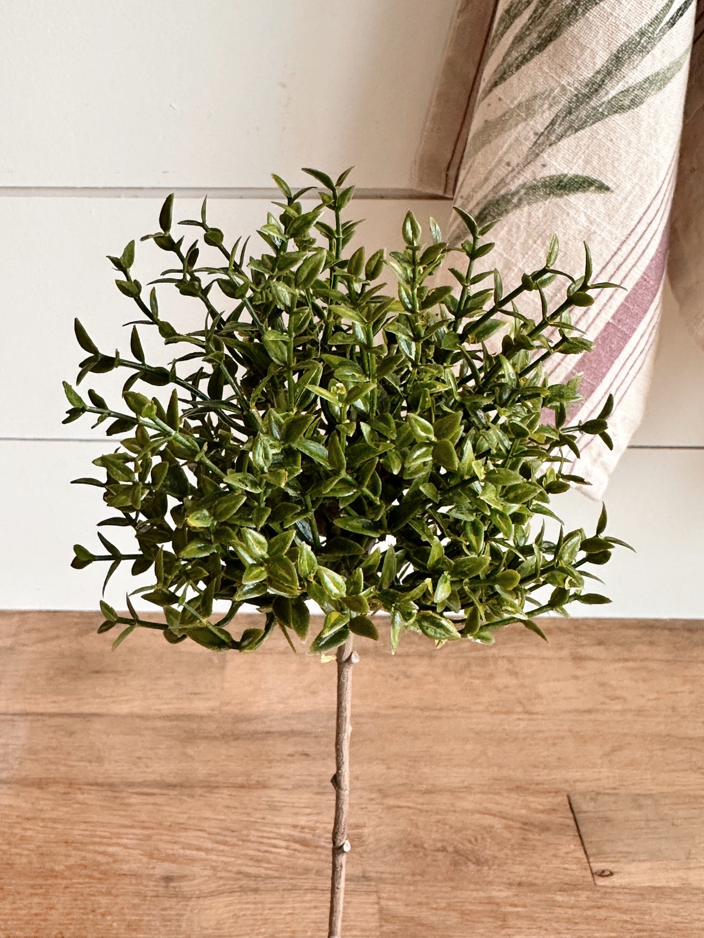 Faux Thyme Topiary