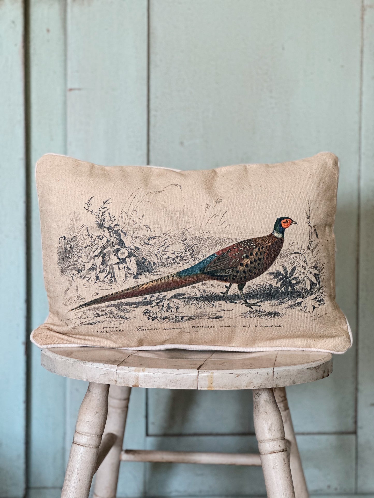 Pheasant Lumbar Pillow