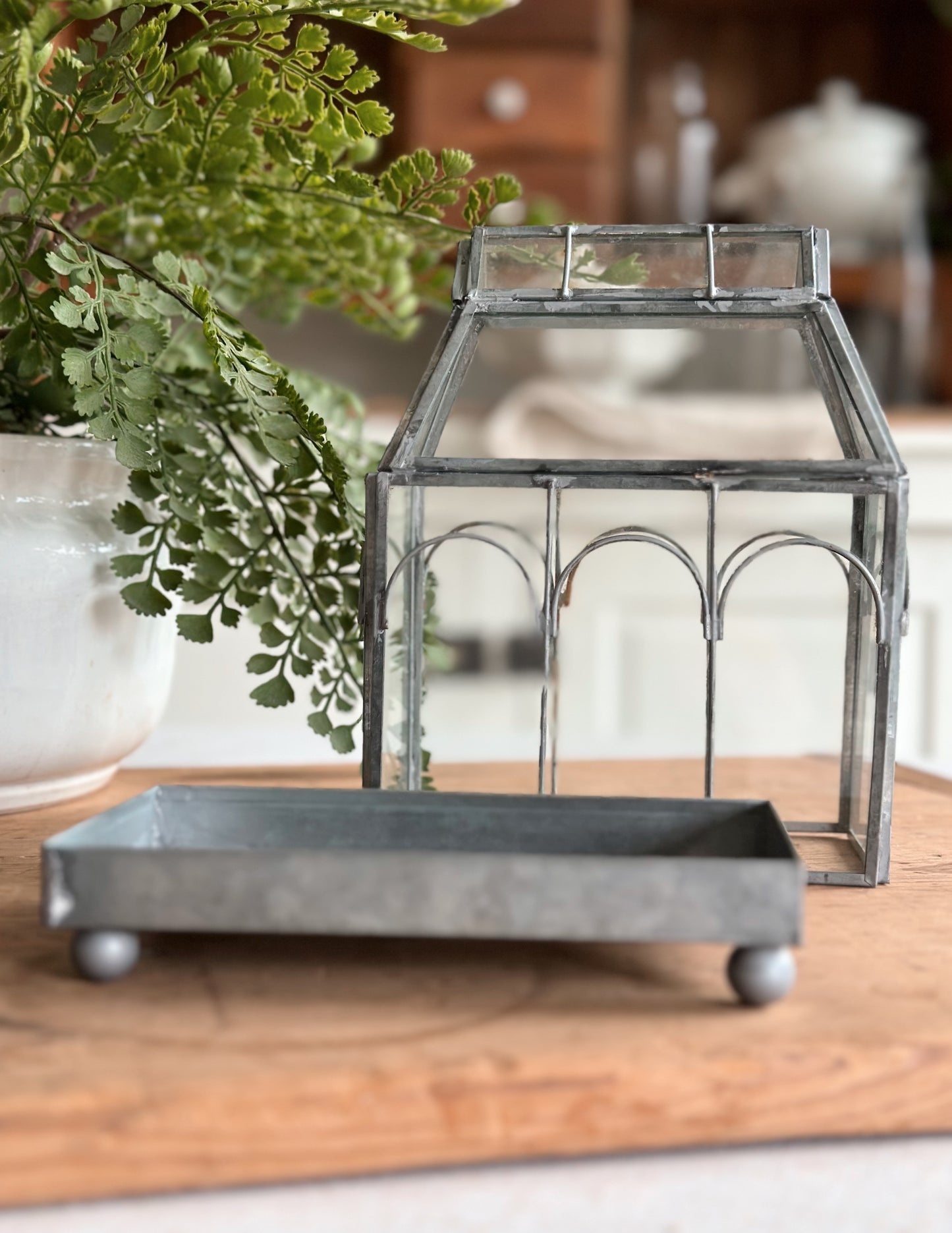 Archway Glass Terrarium
