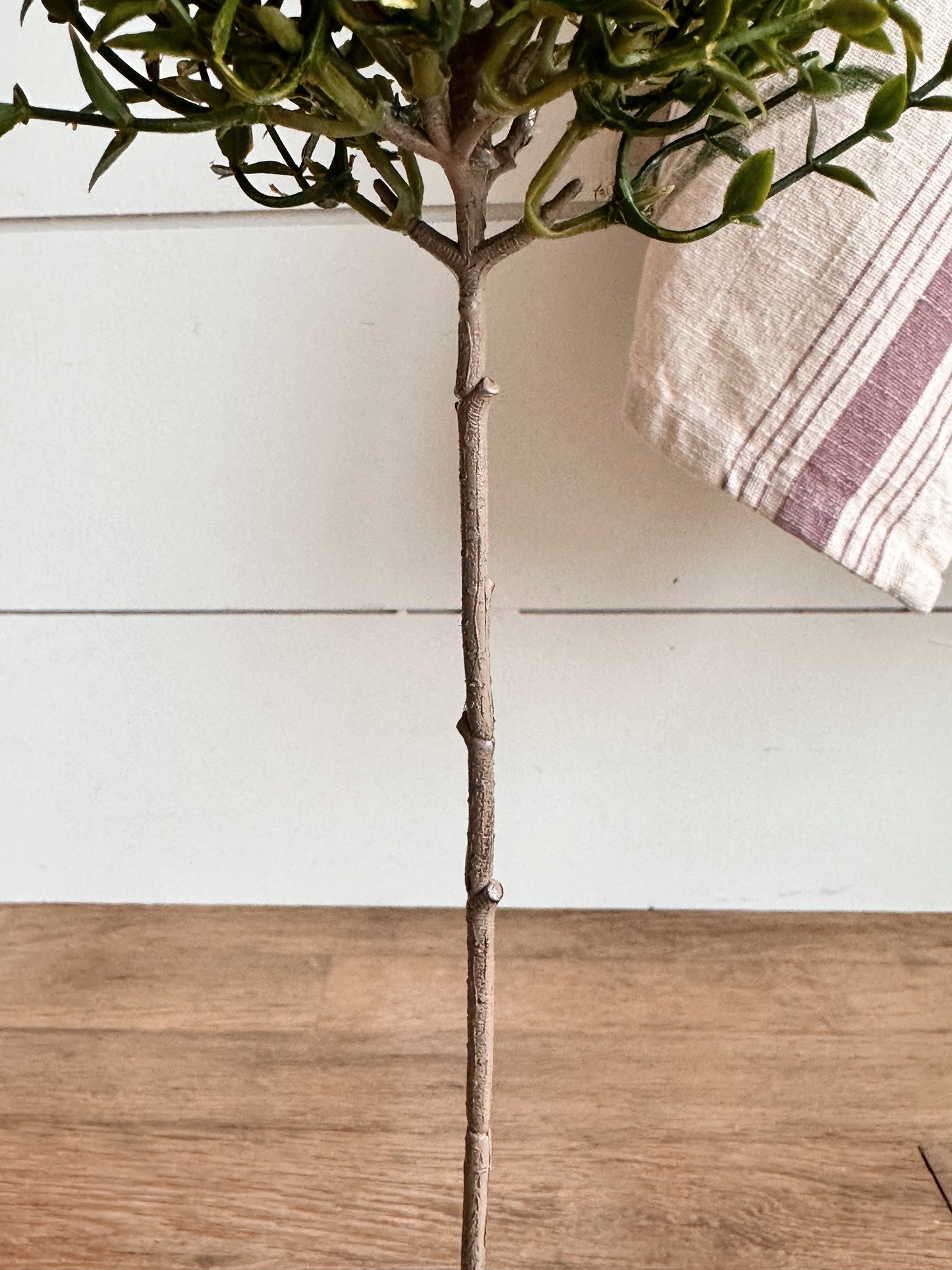 Faux Thyme Topiary