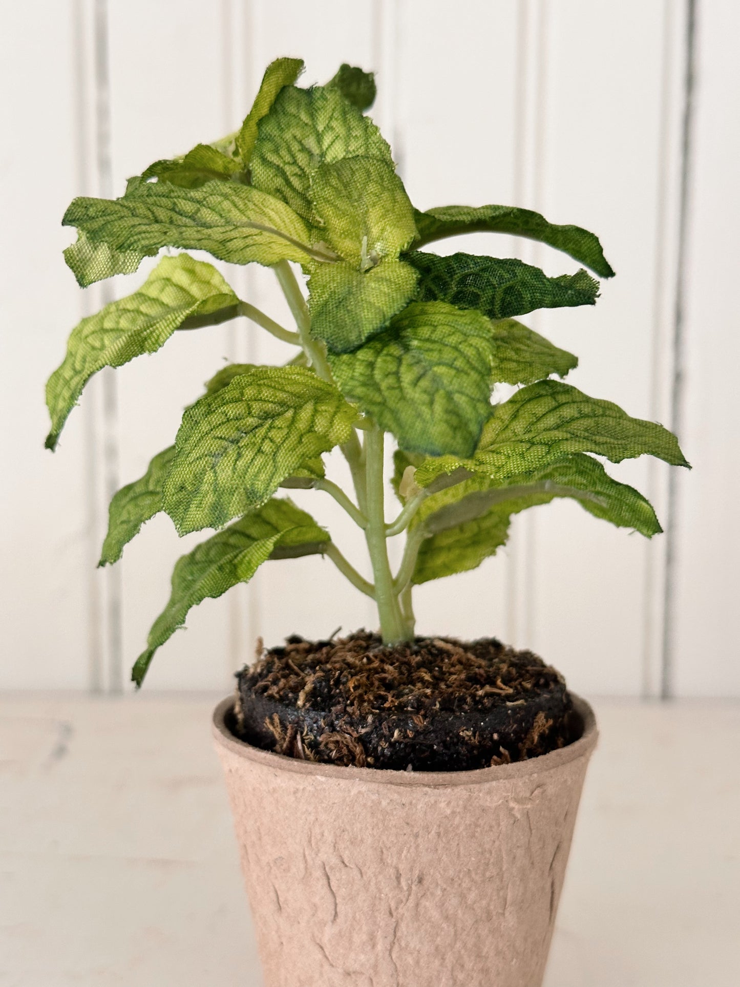 Faux Potted Herbs