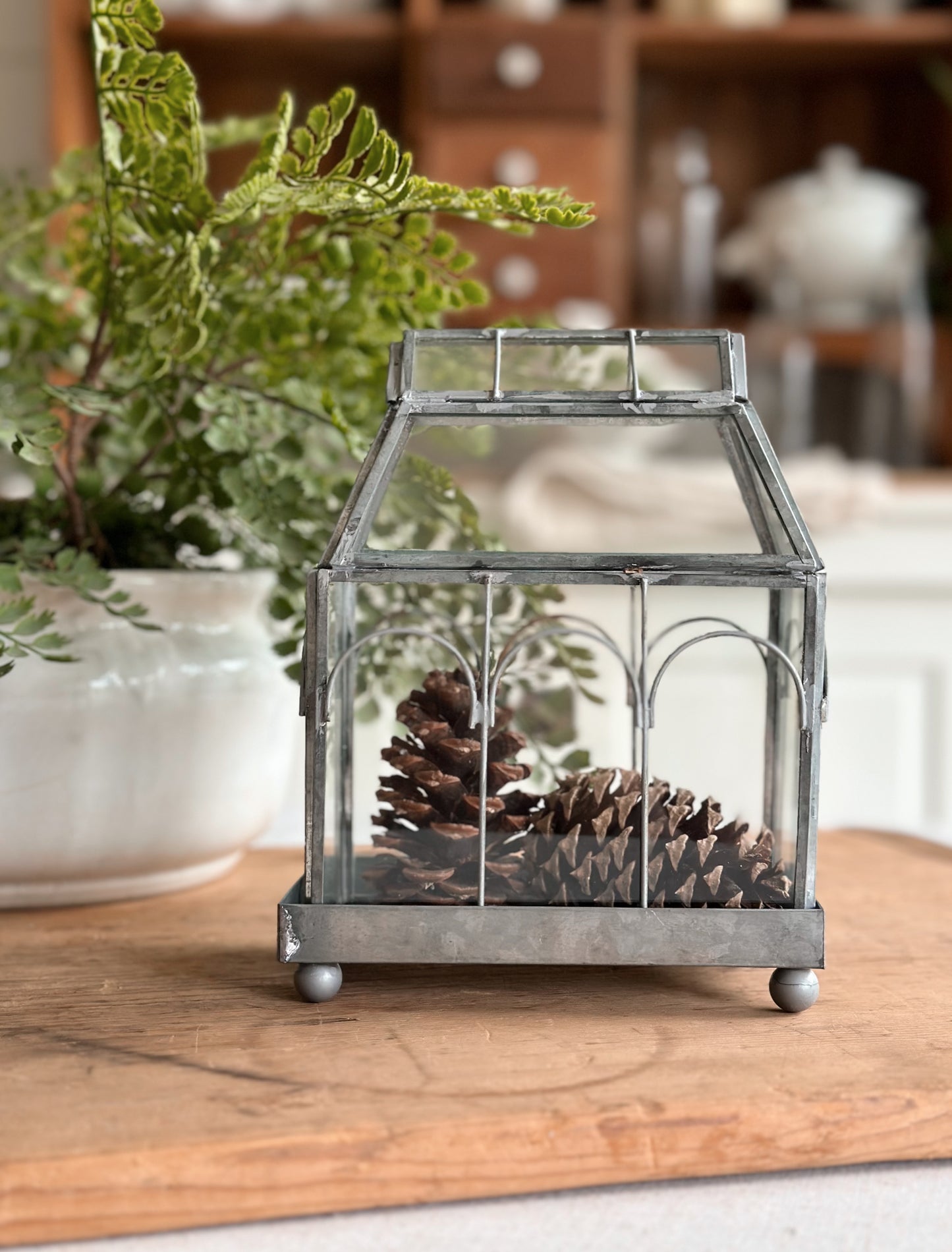 Archway Glass Terrarium