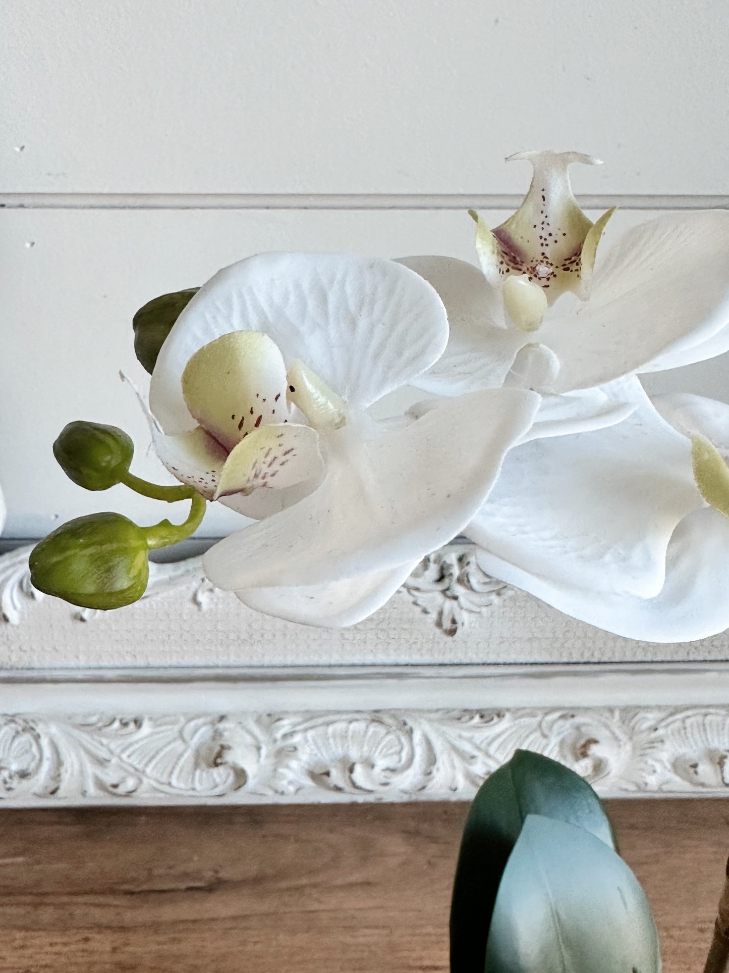 Phalaenopsis Orchid Drop-In