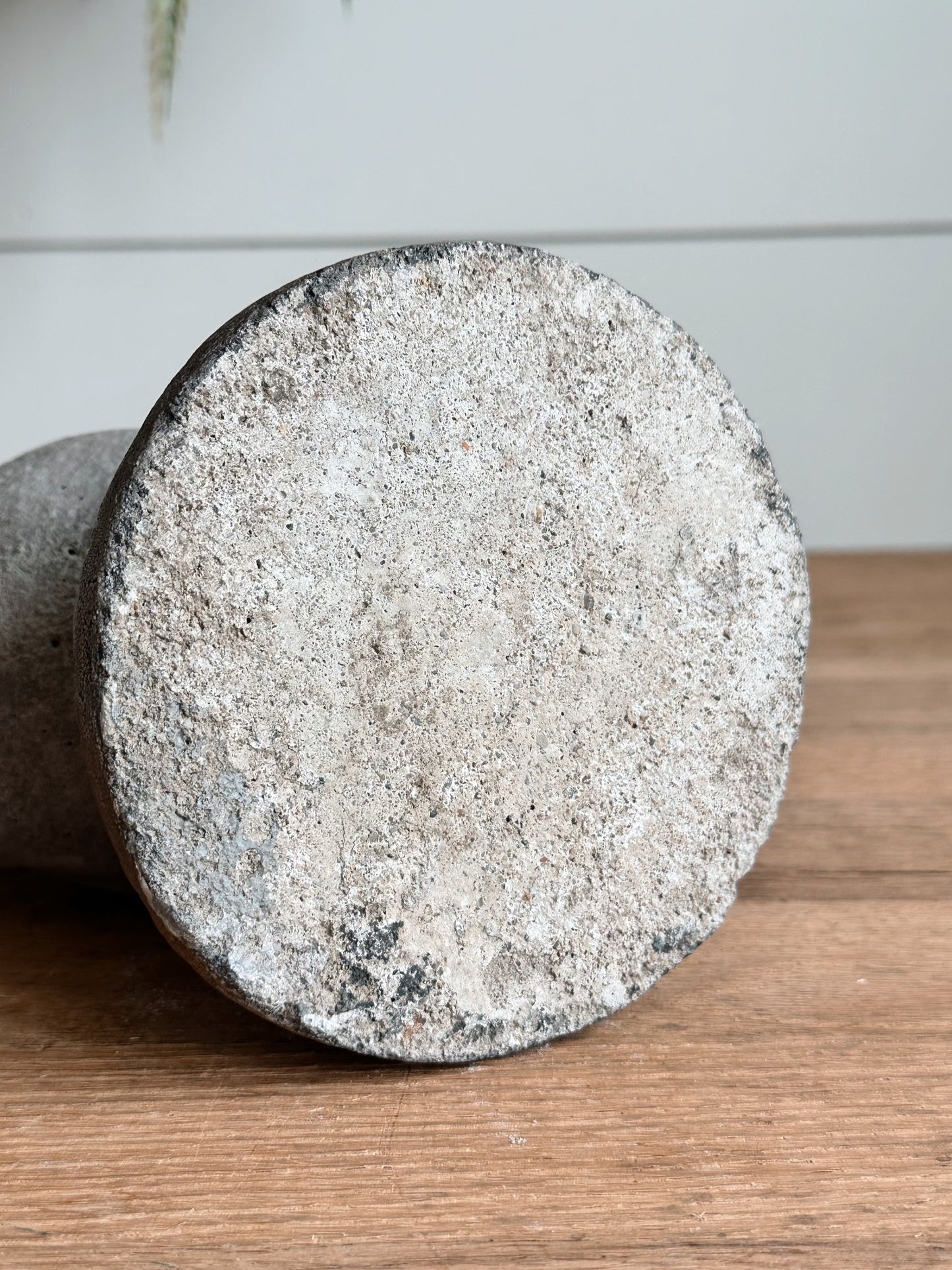Vintage Concrete Duckling