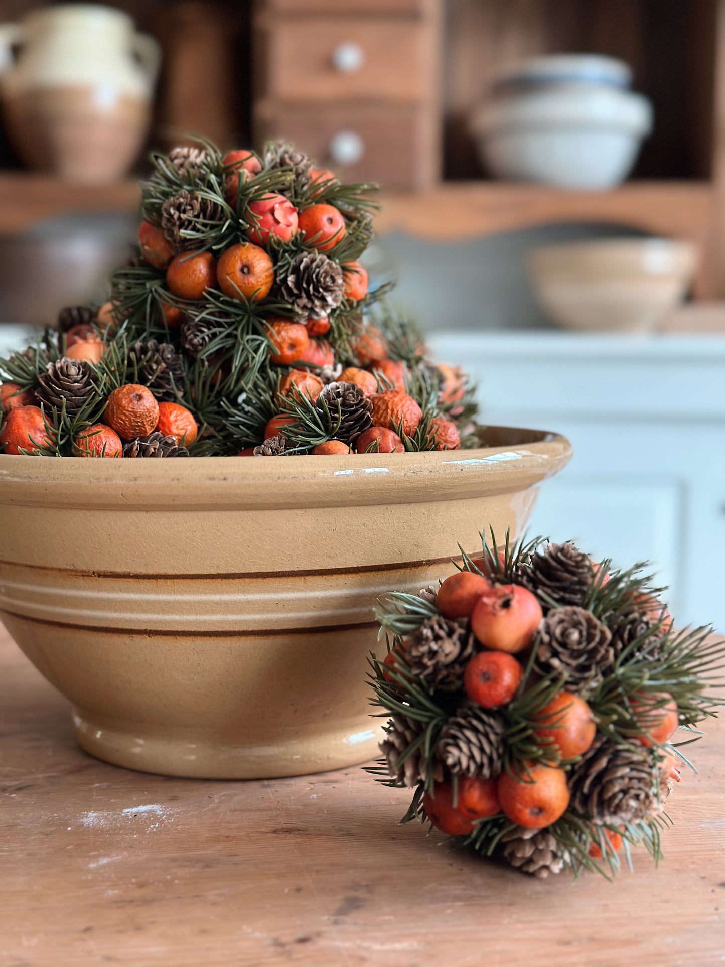 Pair of Foraged Pinecone Pods
