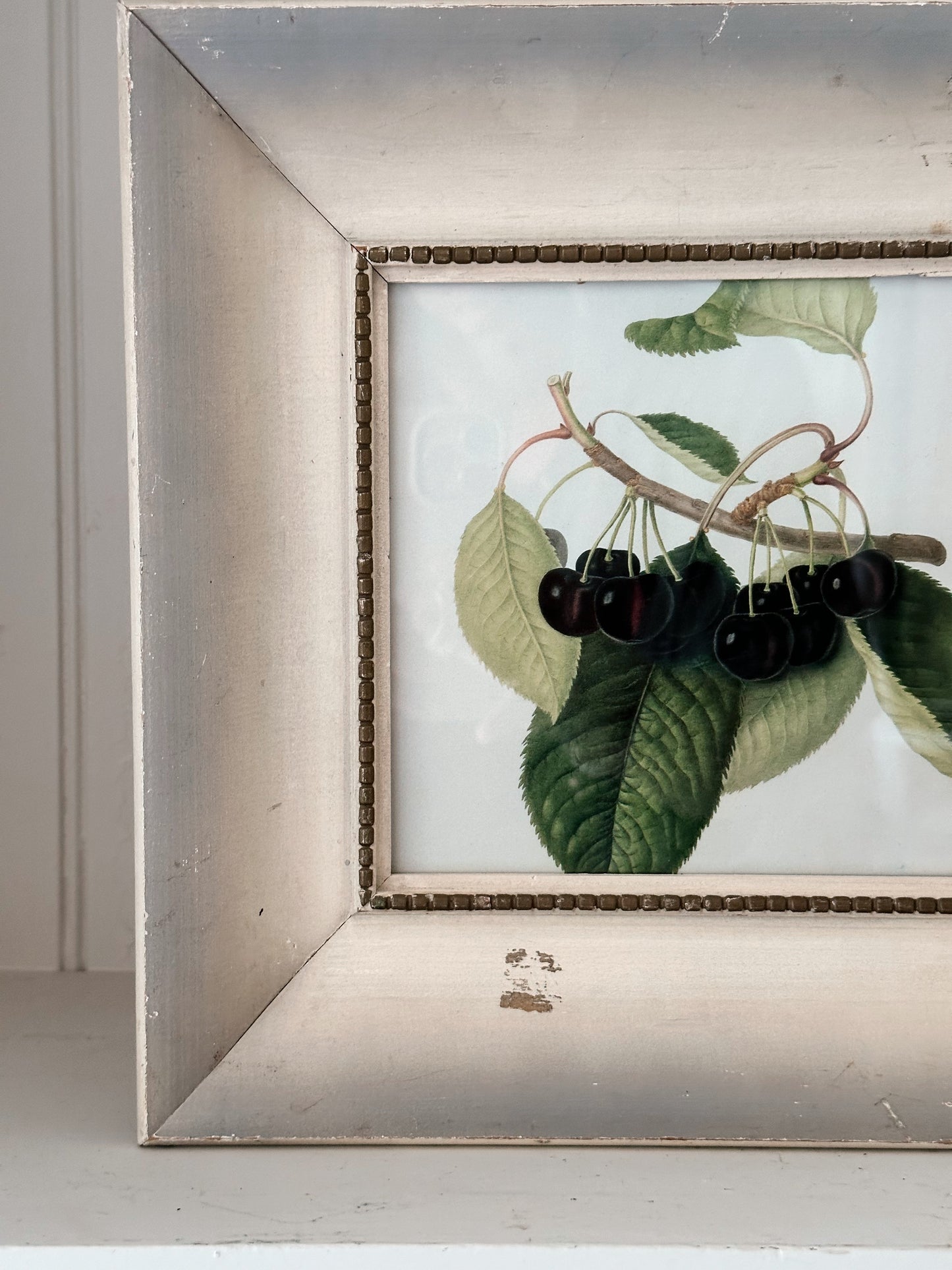 Vintage Framed Botanical Print (Dark Cherries)