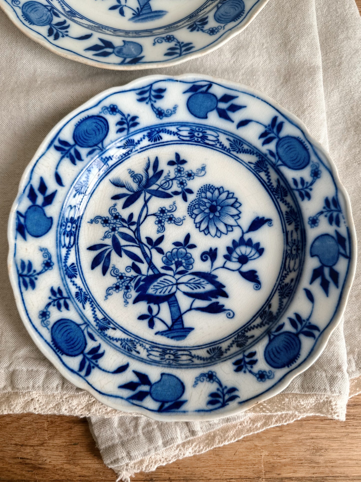 Pair of Antique English Onion Ware Plates