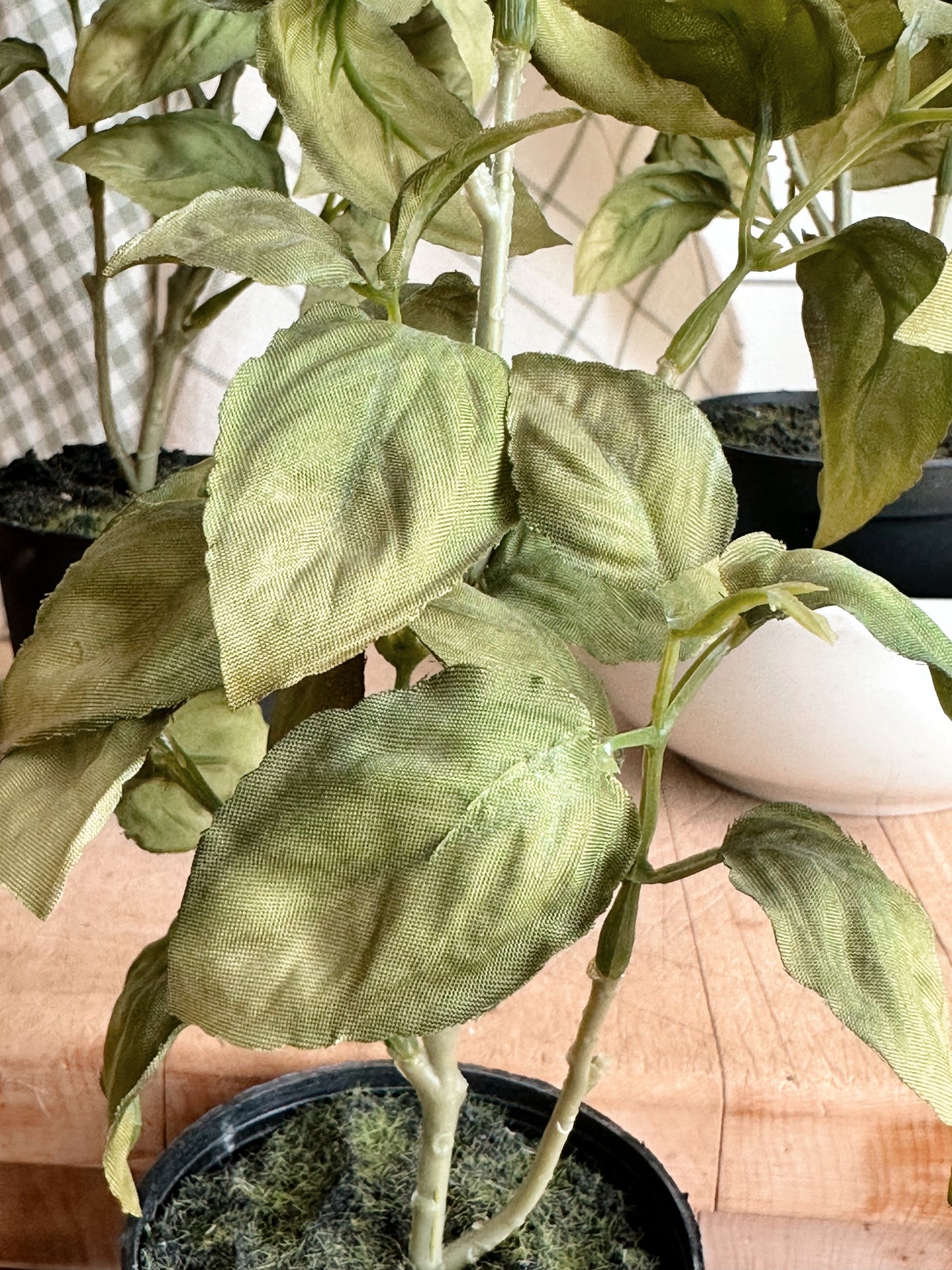 Faux Basil Drop-in Trio