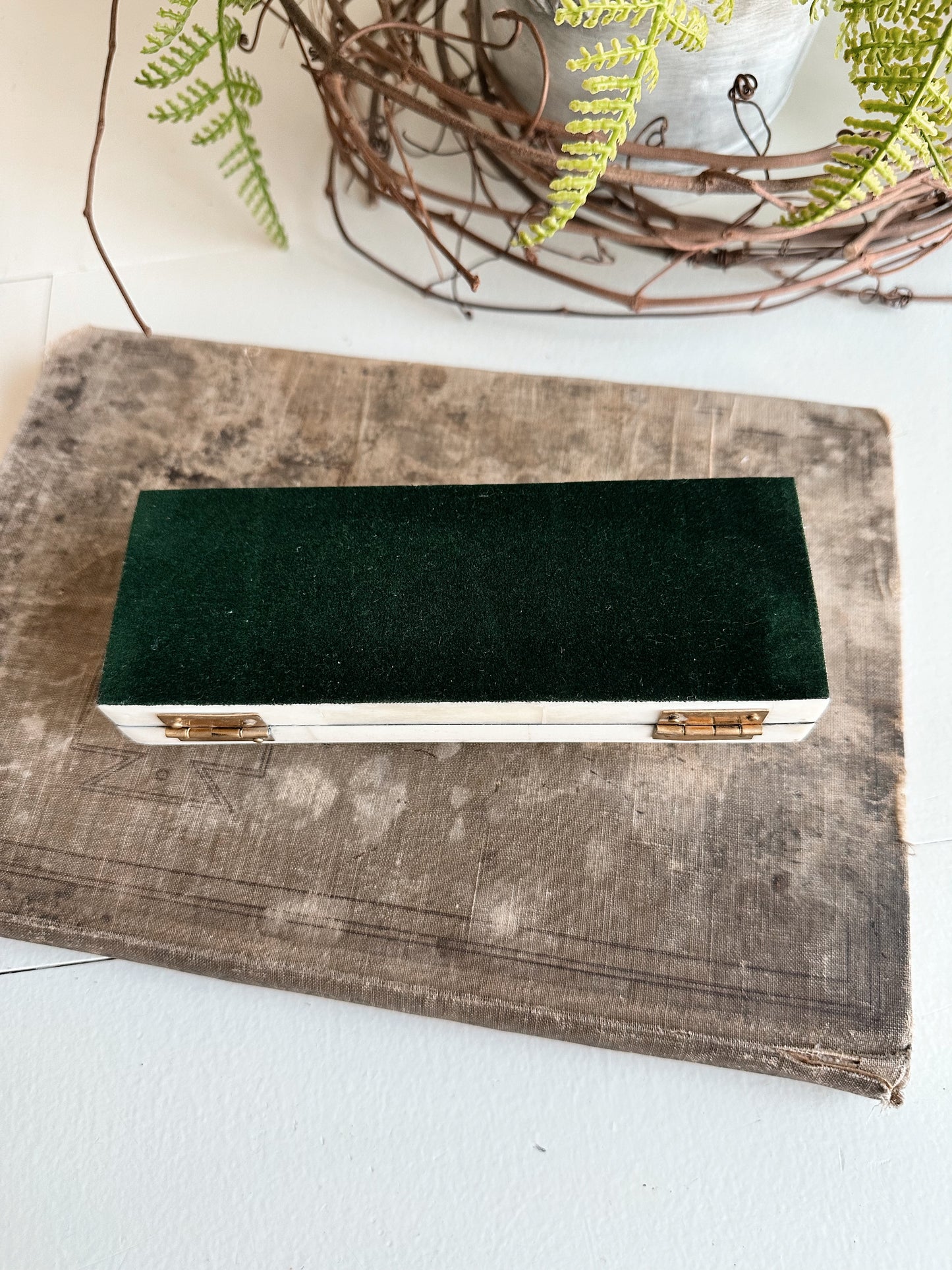 Scrimshaw Postage Stamp Bone Box