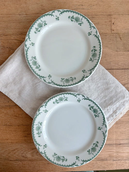 Pair of Vintage Shenago China Restaurant Ware Plates, Chardon Rose Pattern