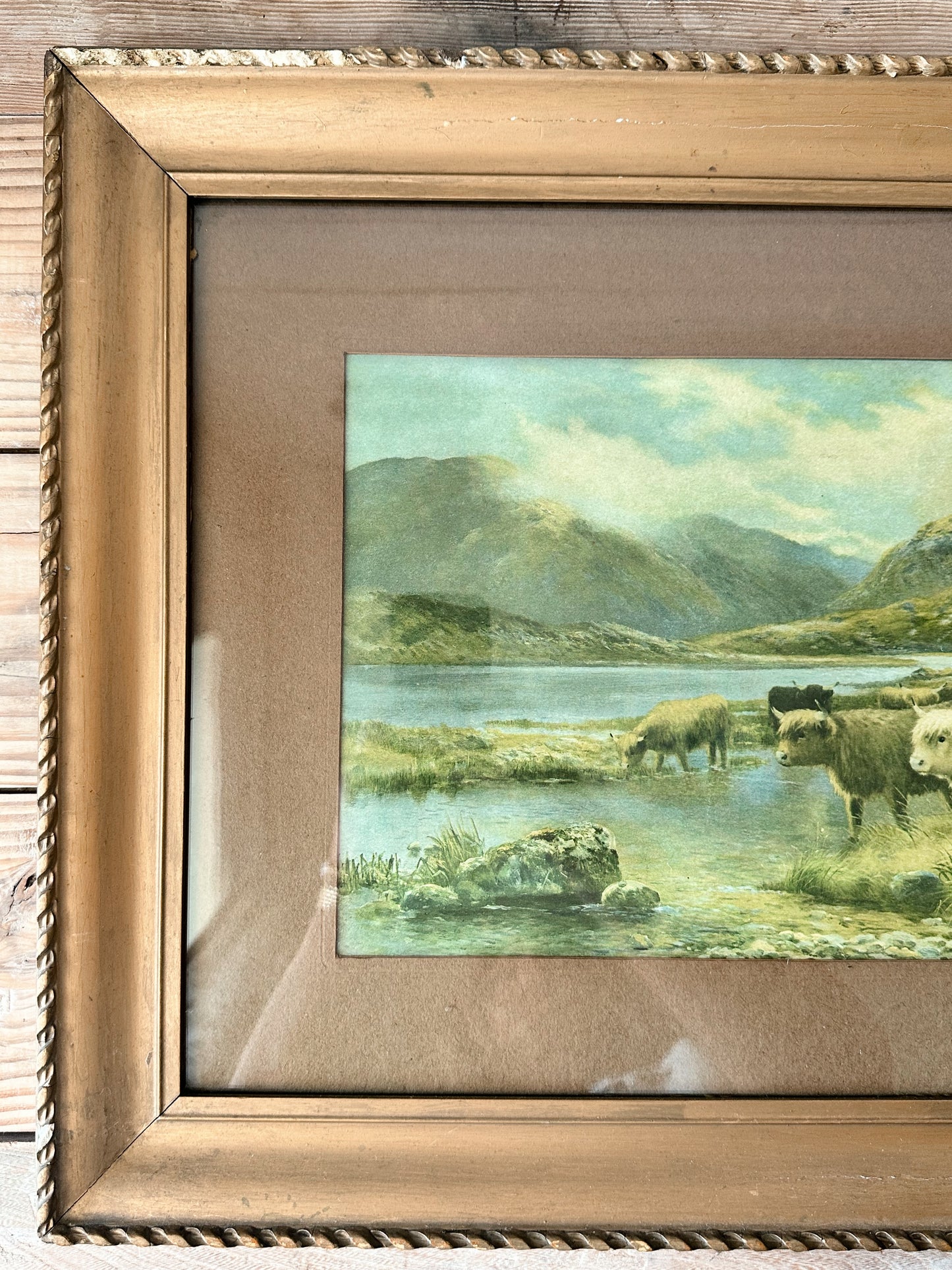 Vintage Highland Cow Print