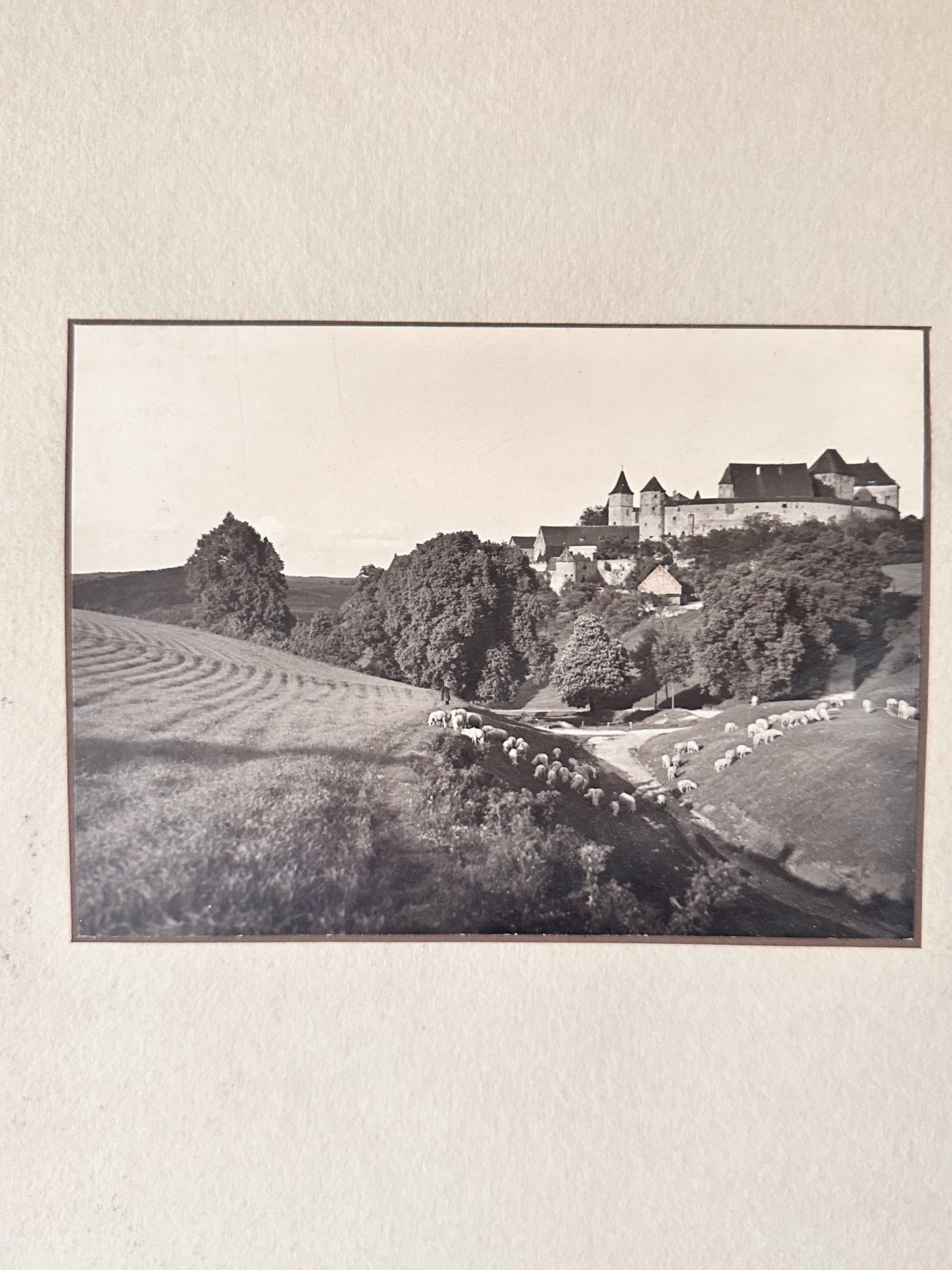 Vintage Photograph, European Hillside with Sheep