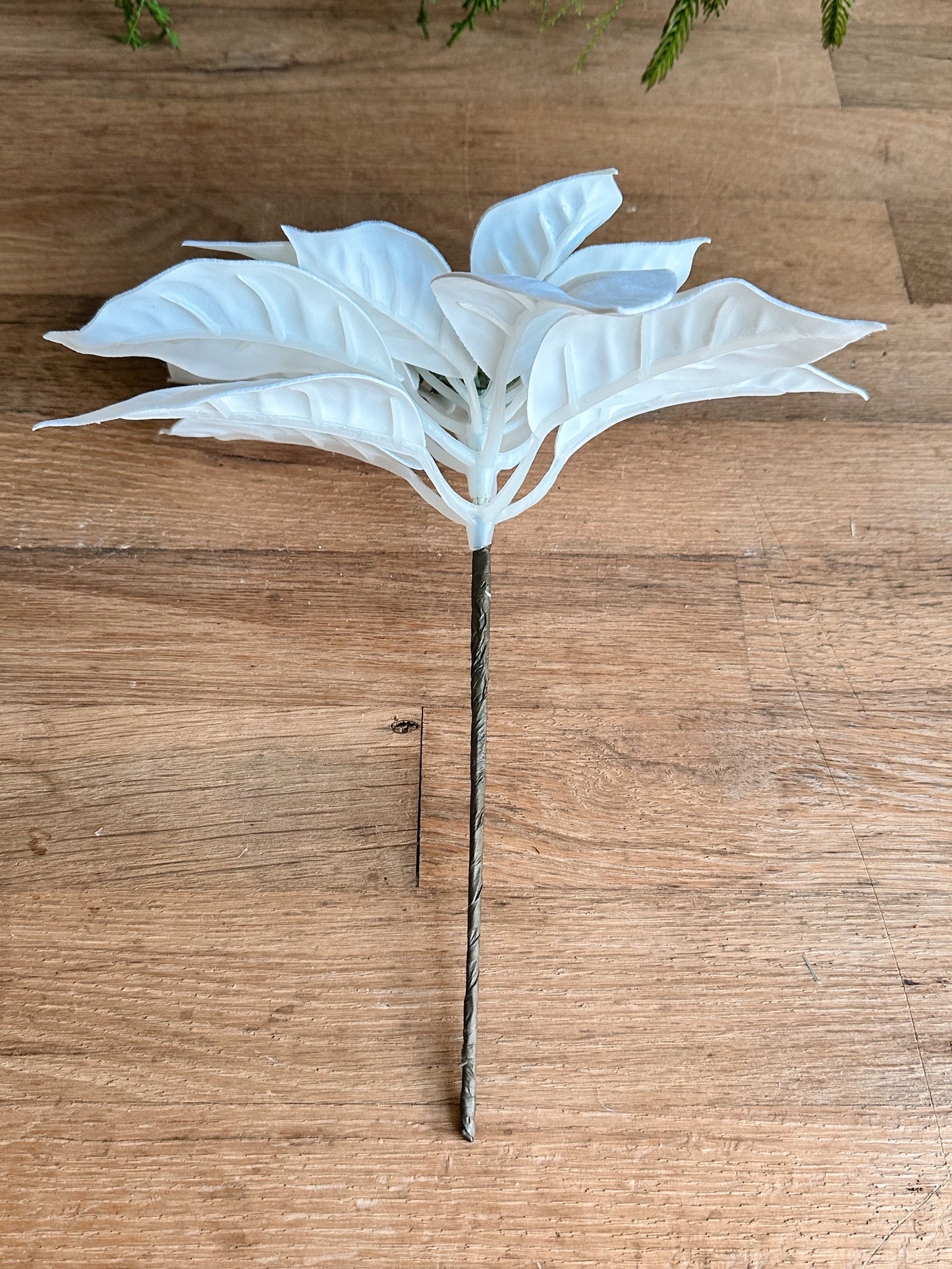 Velvety White Poinsettia Picks