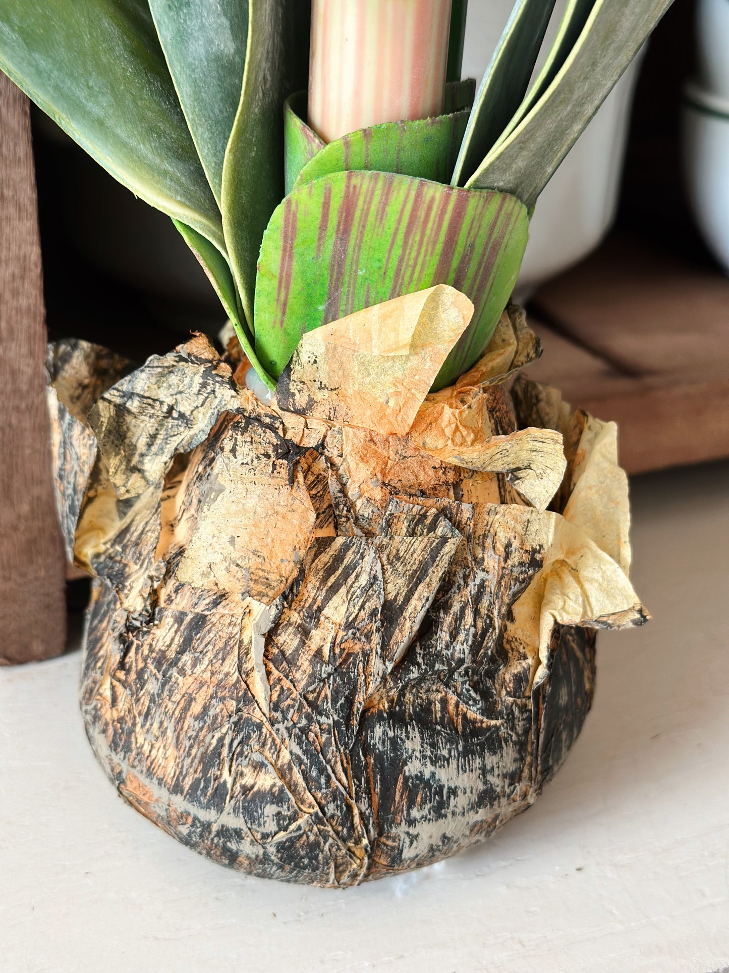 25” Red Amaryllis with Bulb