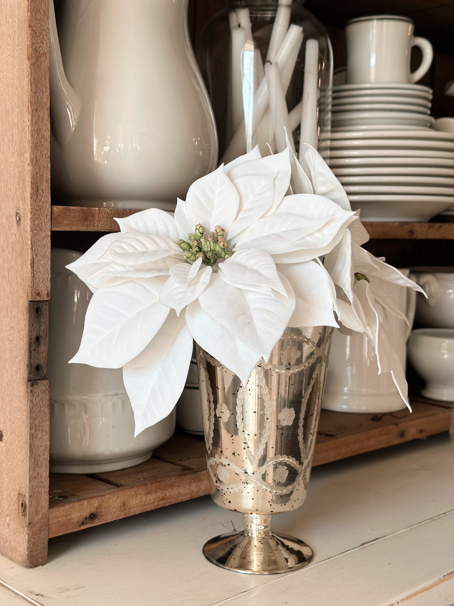 Velvety White Poinsettia Picks