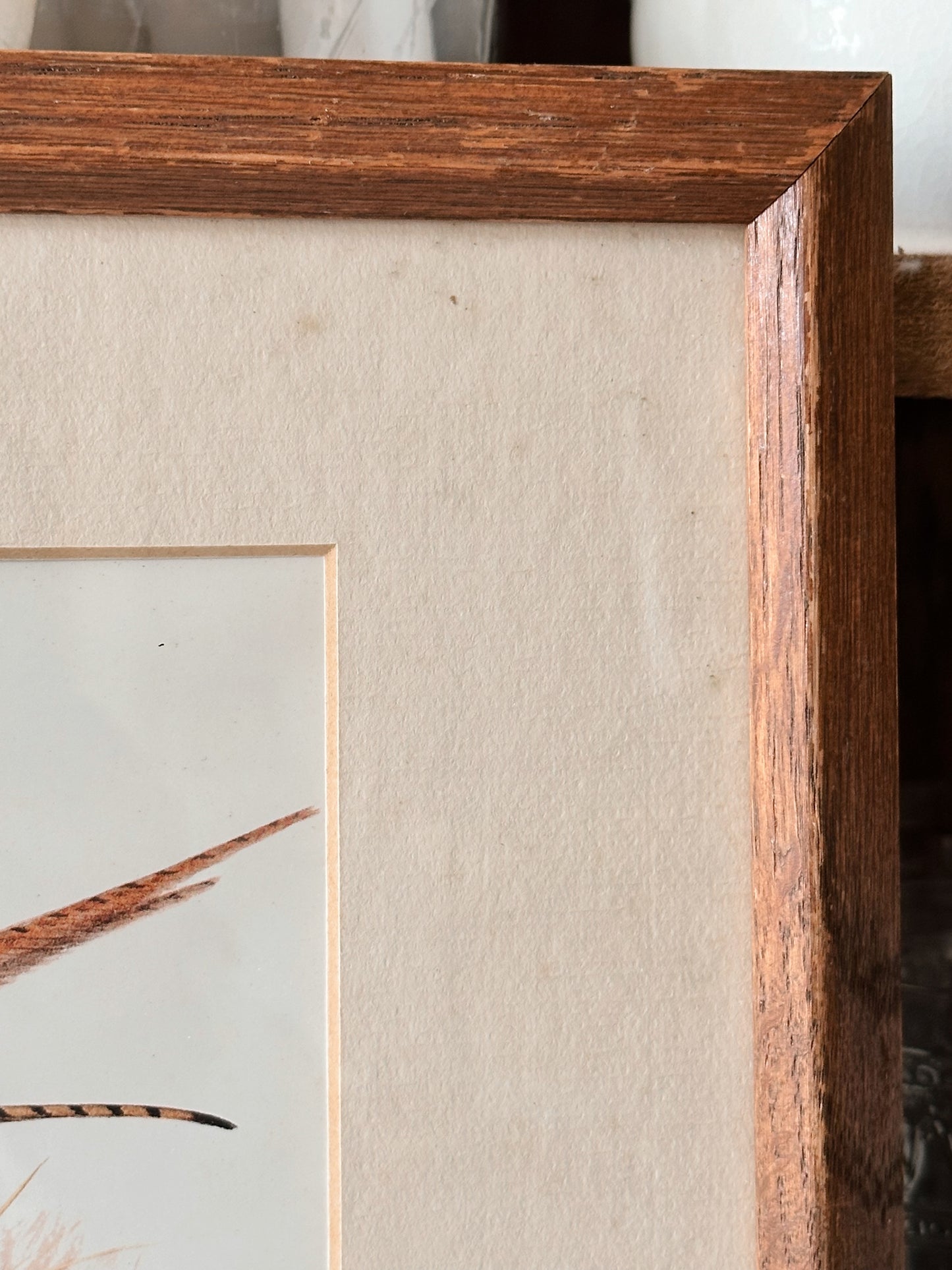 Vintage Signed and Numbered Pheasant Print