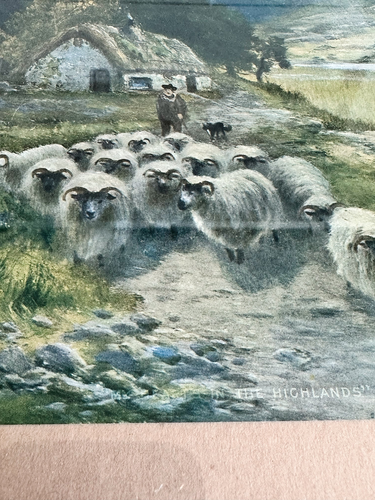 Vintage Sheep & Shepherd Print, The Highlands copyright 1916