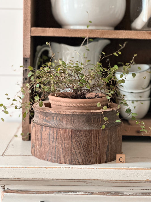 Salvaged Wood Riser, Plant Collar