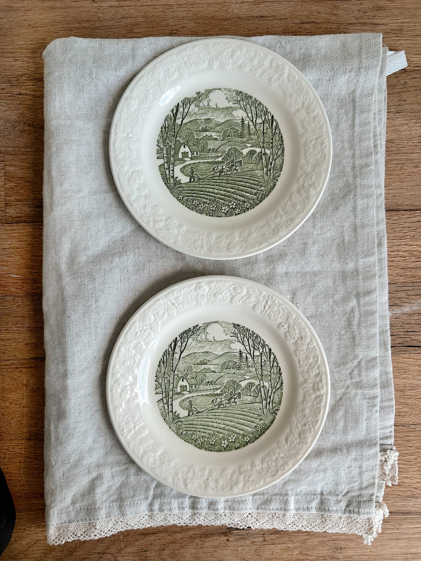 Pair of Taylor, Smith & Taylor Pastoral Dessert Plates