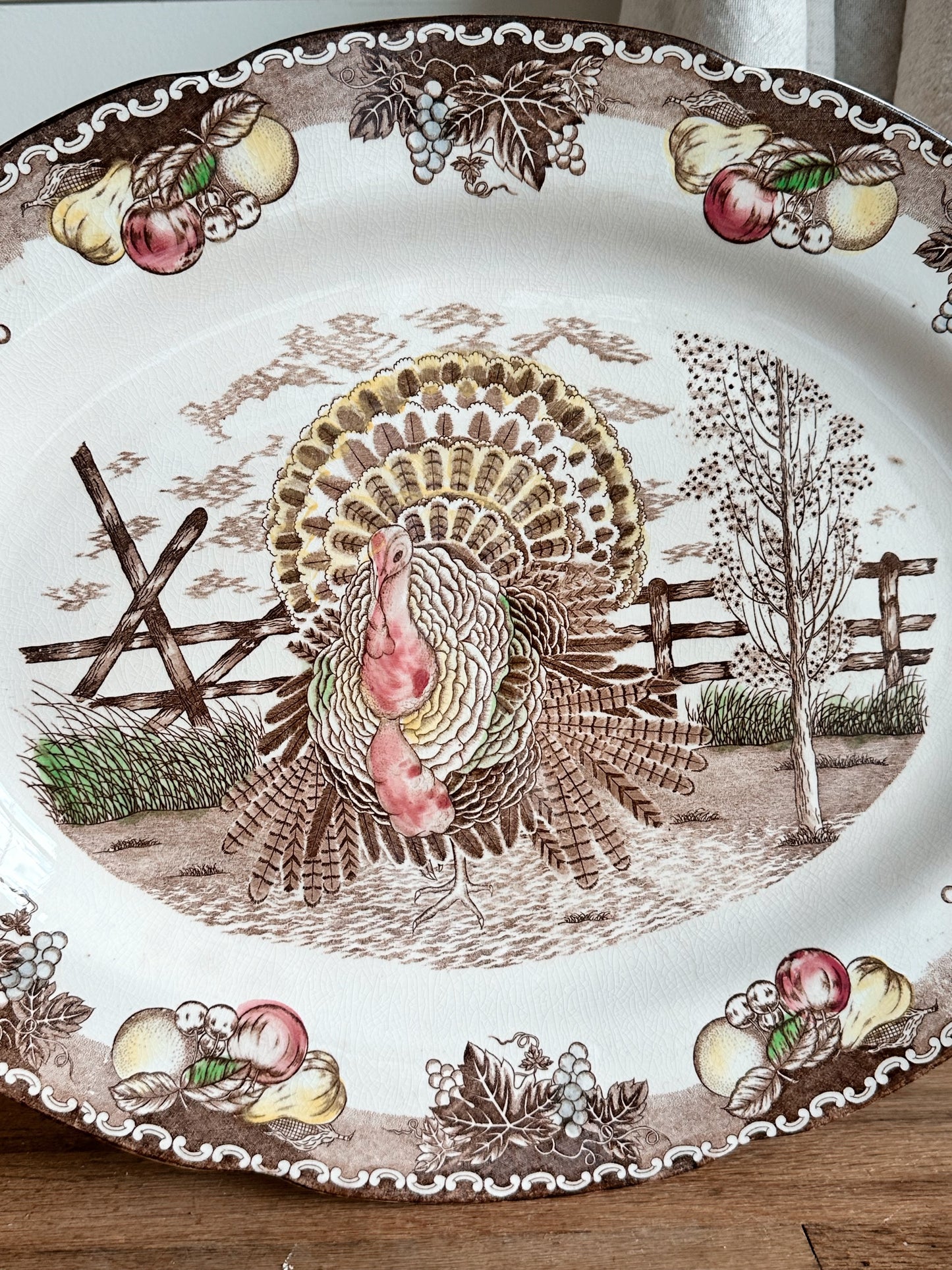 Vintage King Tom Ironstone Turkey Platter