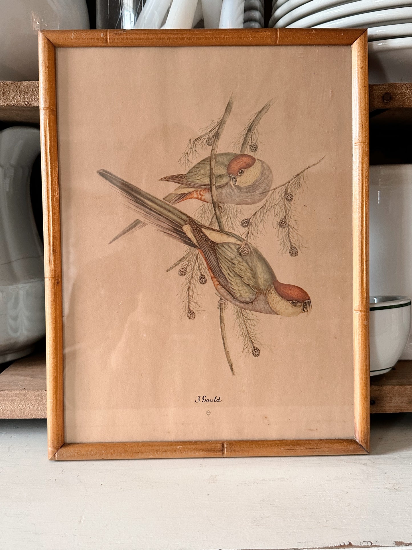 Framed Vintage Winter Bird Print
