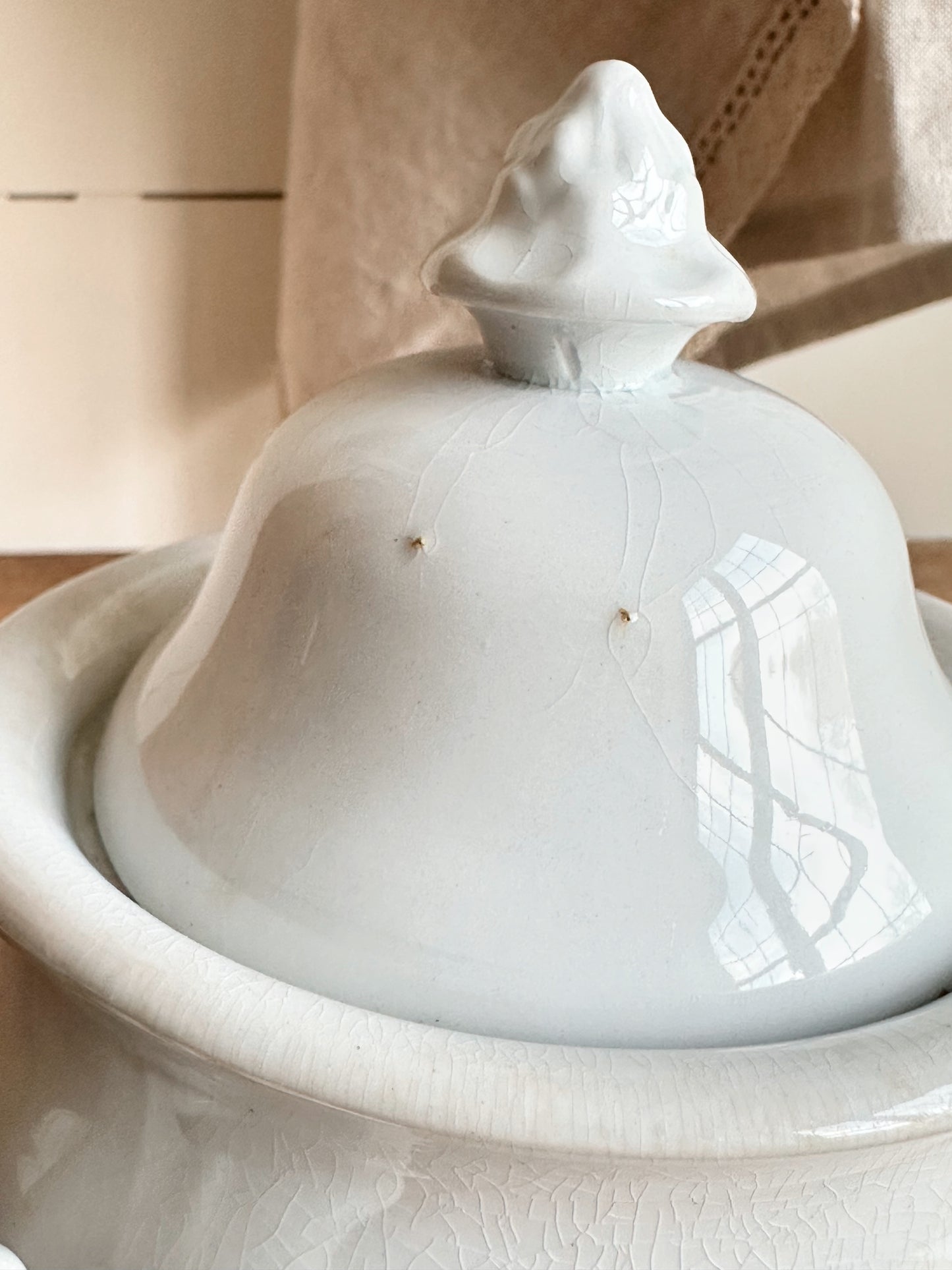 Antique T & R Boote Ironstone Sugar Pot