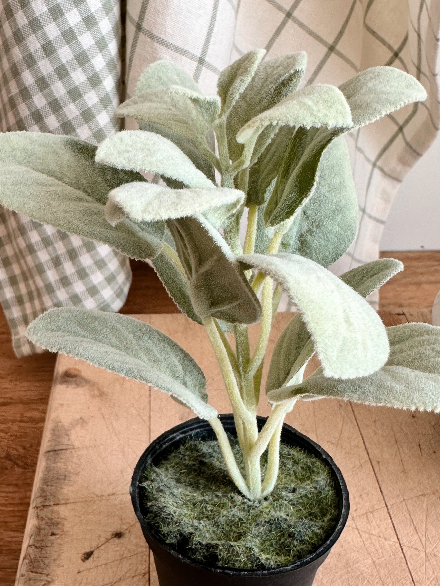 Sage Drop-in Trio