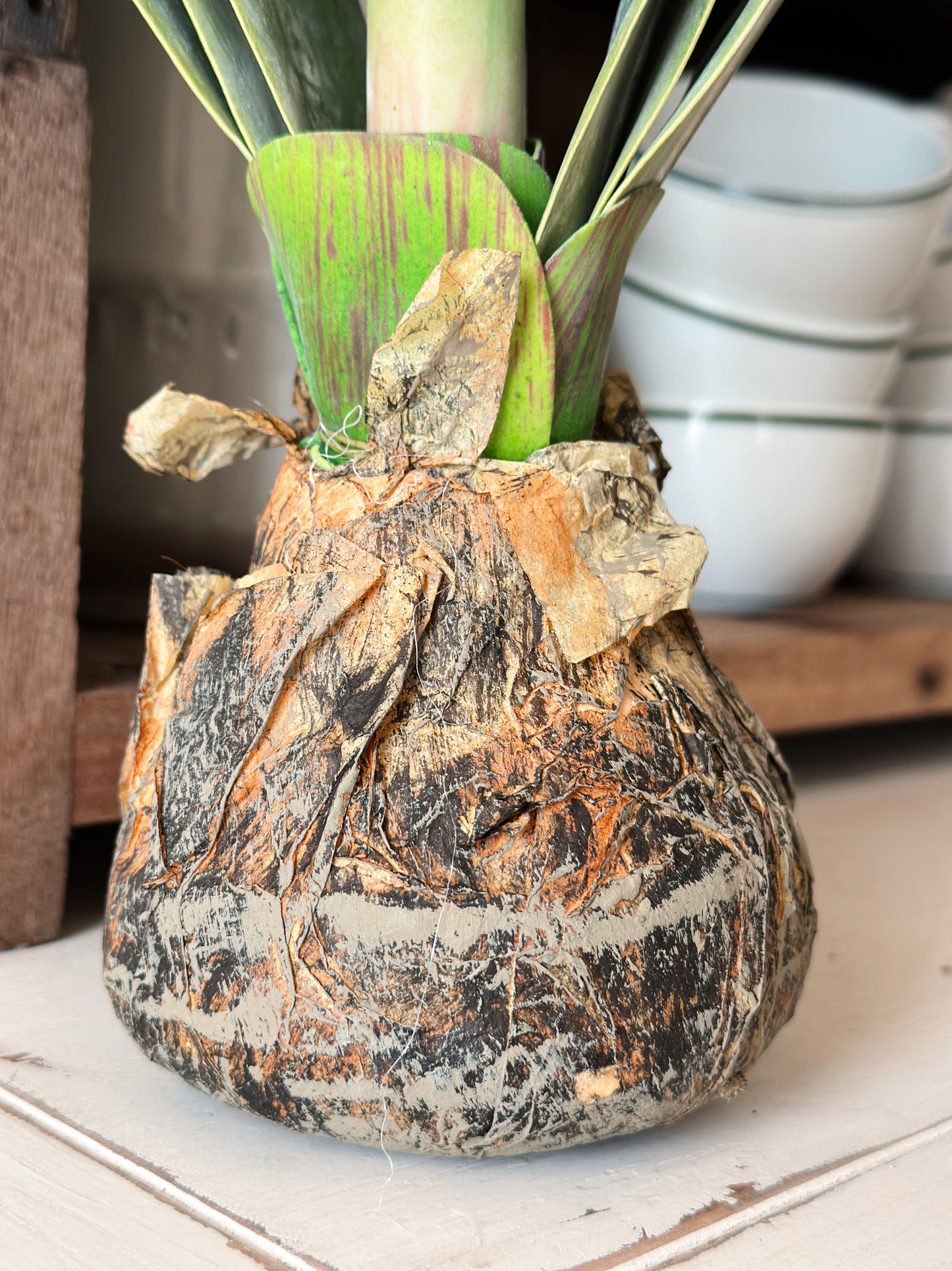 25” White Amaryllis with Bulb