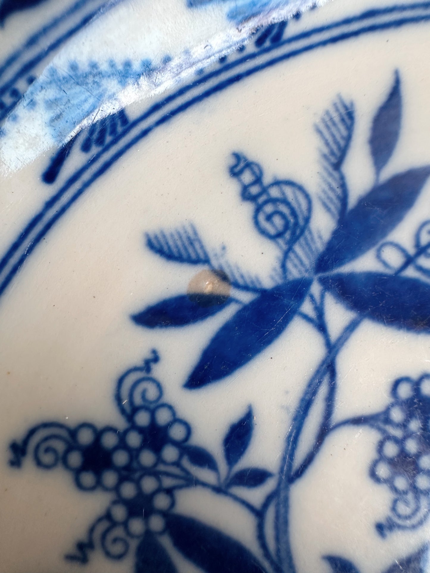 Pair of Antique English Onion Ware Plates