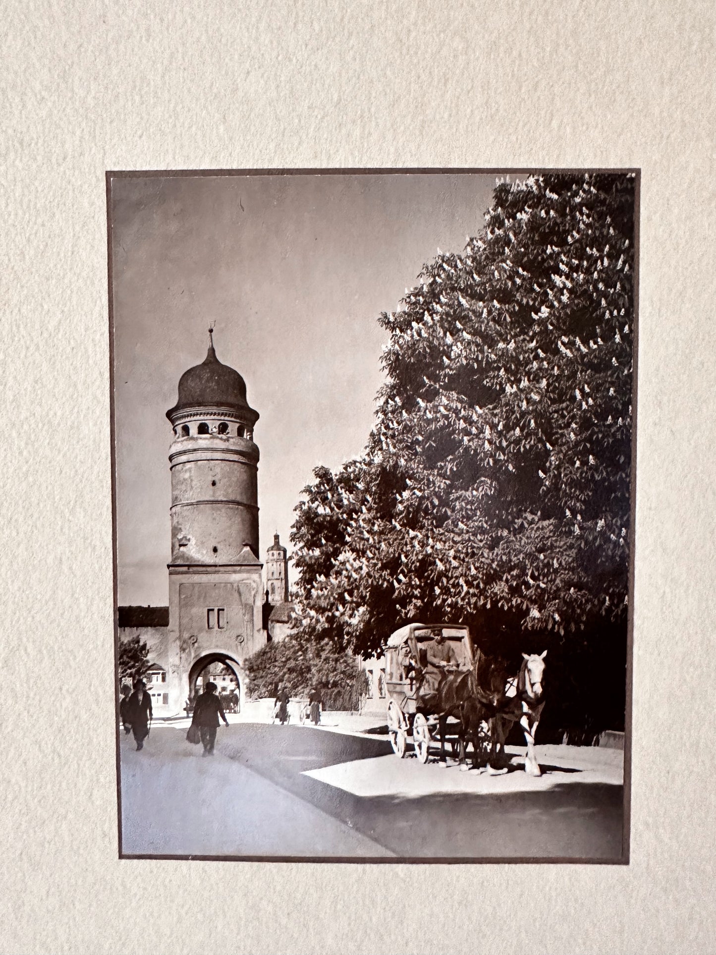 Vintage Photograph, German Town with Horse & Carriage