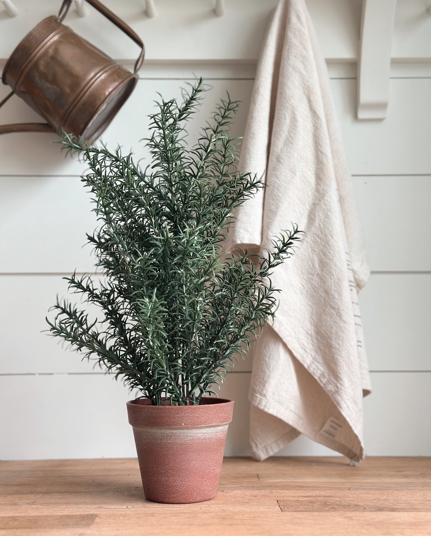 Faux Rosemary Plant