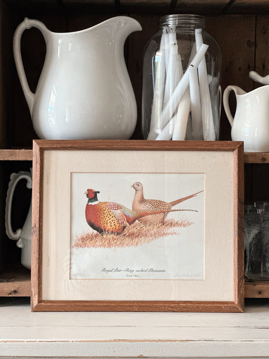 Vintage Signed and Numbered Pheasant Print