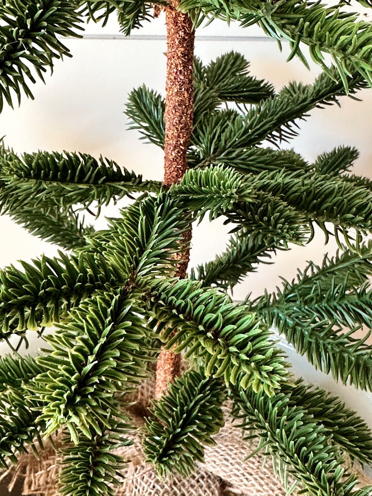 Alpine Fir Trees