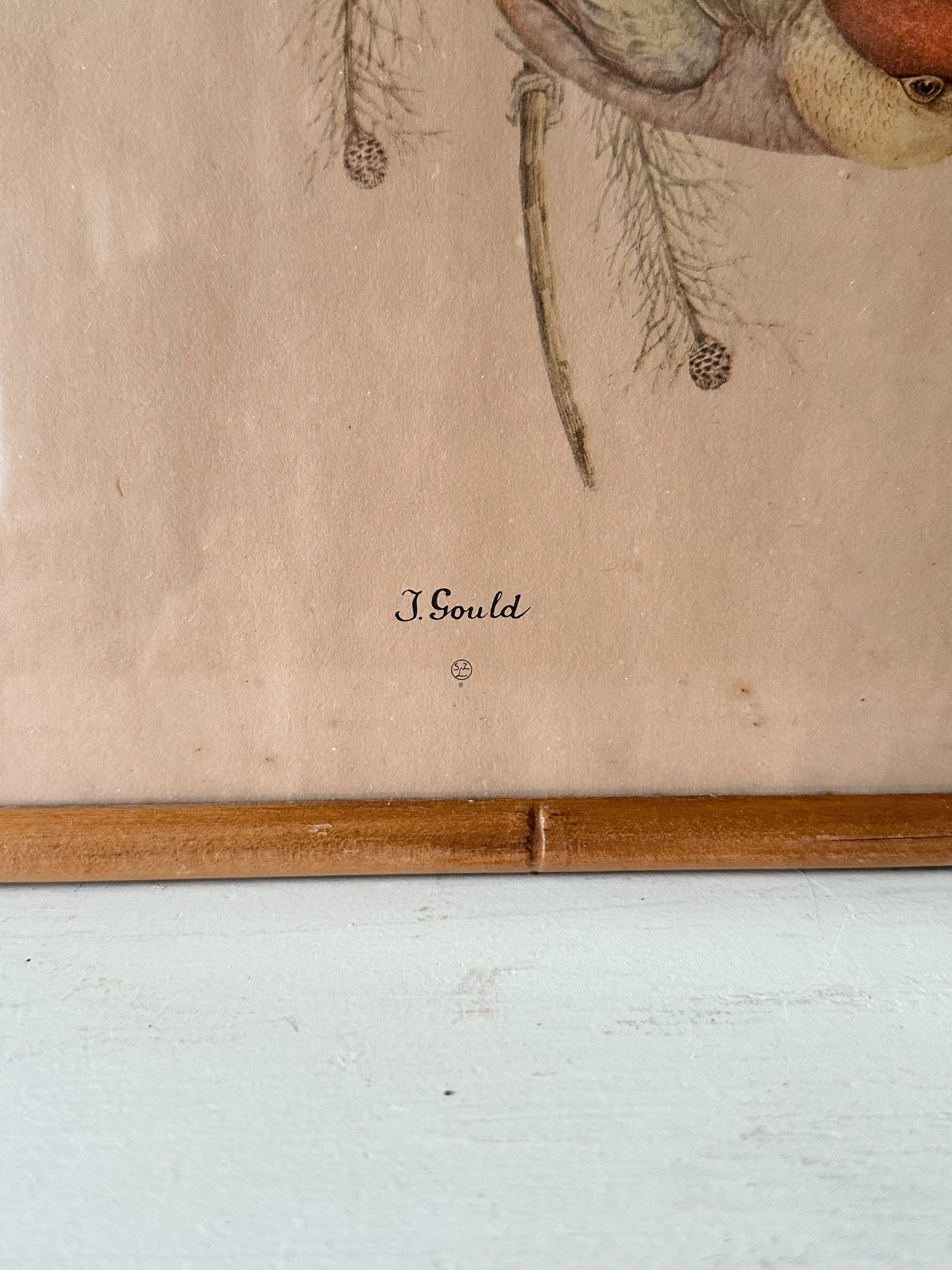 Framed Vintage Winter Bird Print