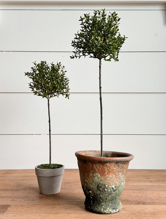 Back in Stock- Faux Thyme Topiaries