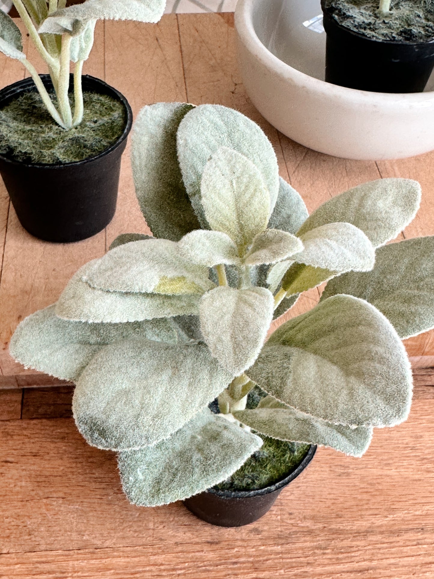 Sage Drop-in Trio