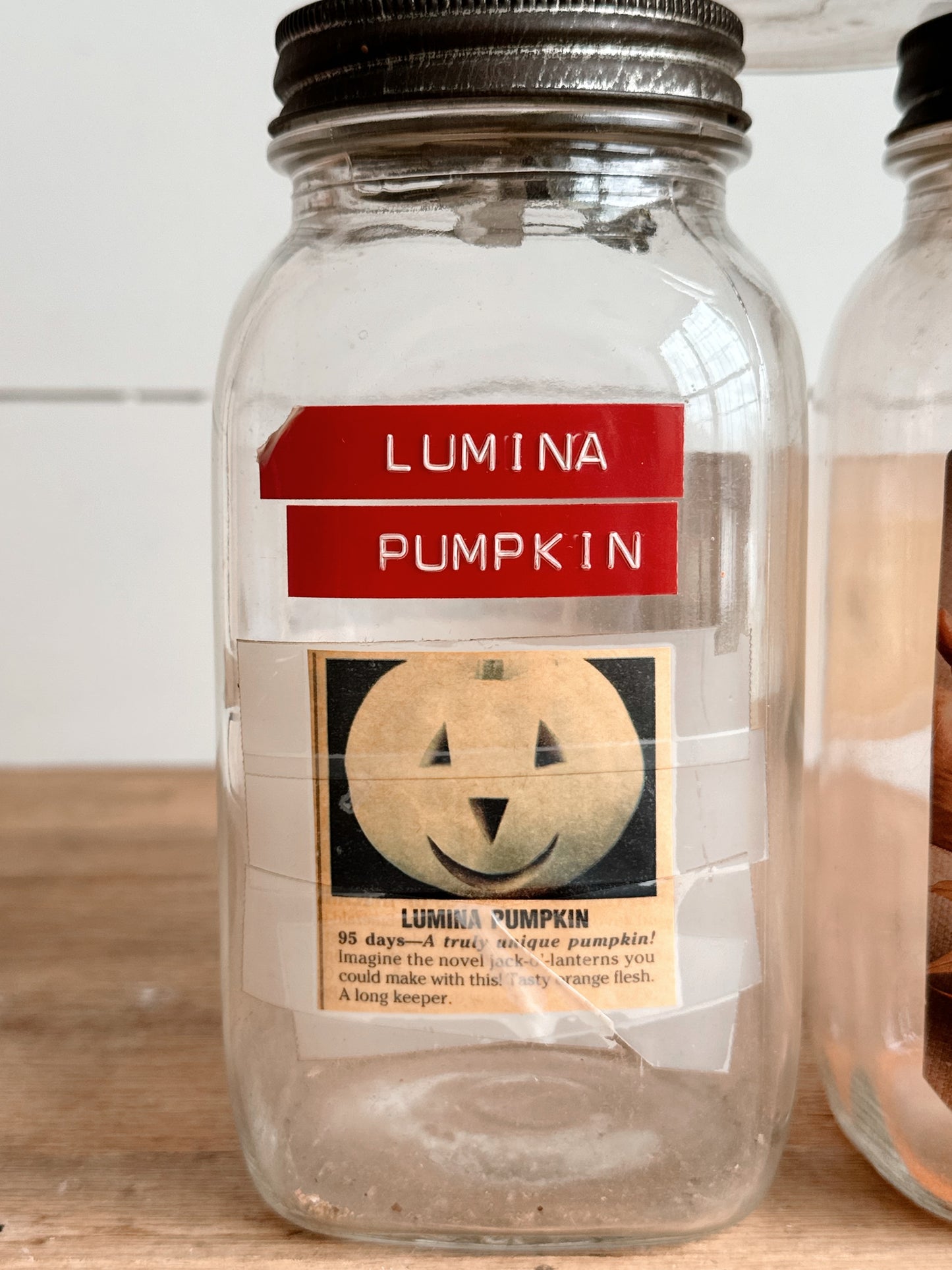 Vintage Seed Jars