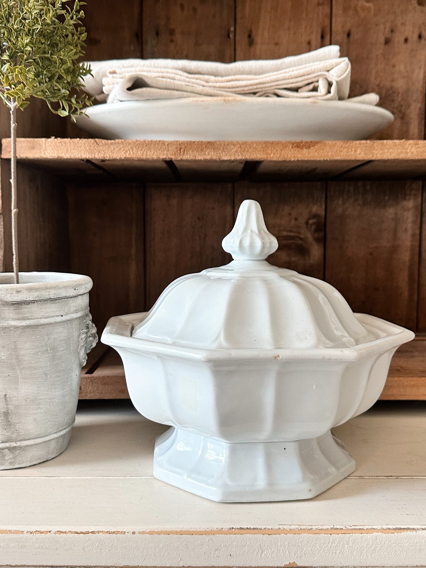 Antique T&R Boote Ironstone Tureen