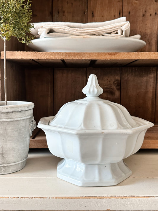 Antique T&R Boote Ironstone Tureen
