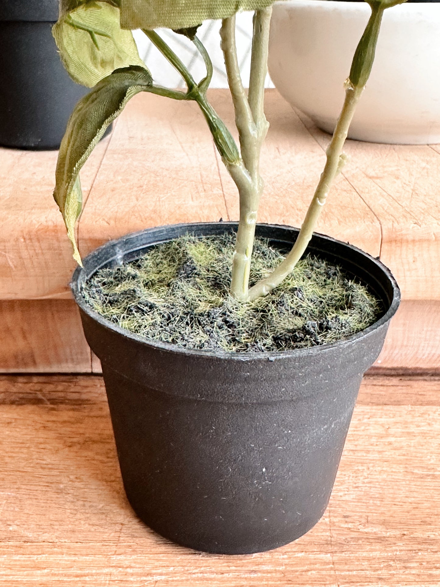 Faux Basil Drop-in Trio