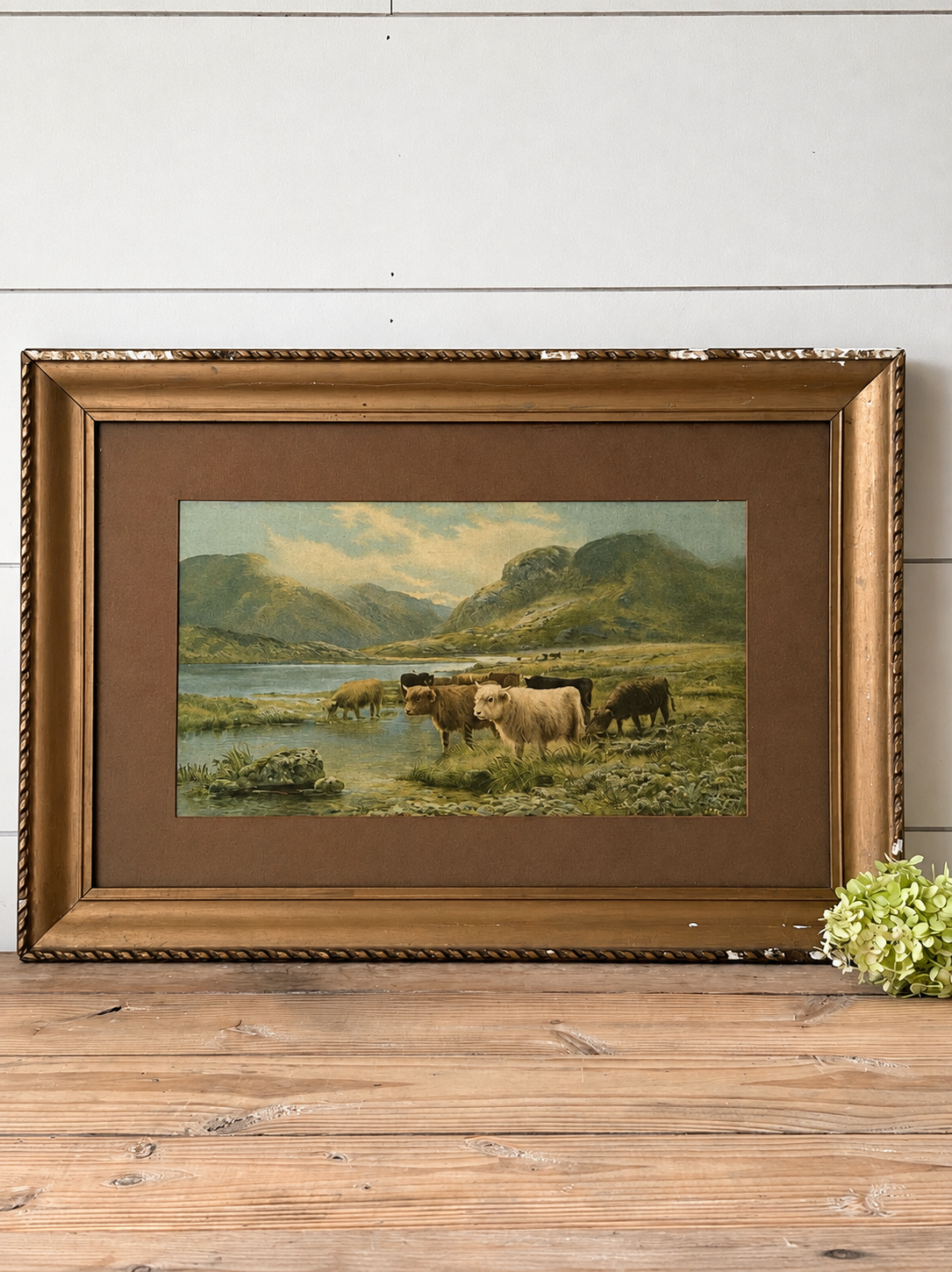 Vintage Highland Cow Print
