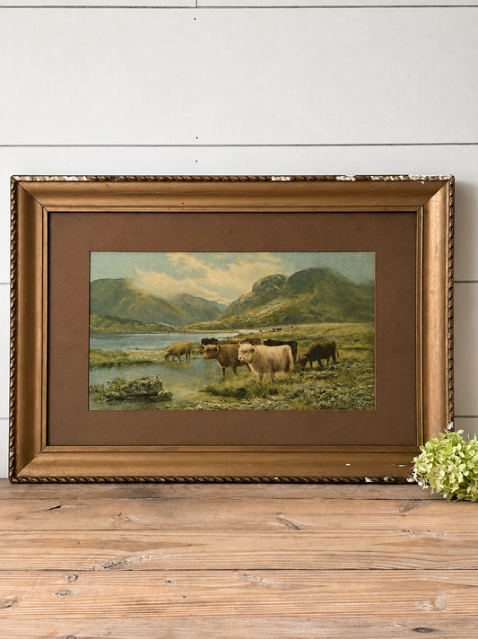 Vintage Highland Cow Print