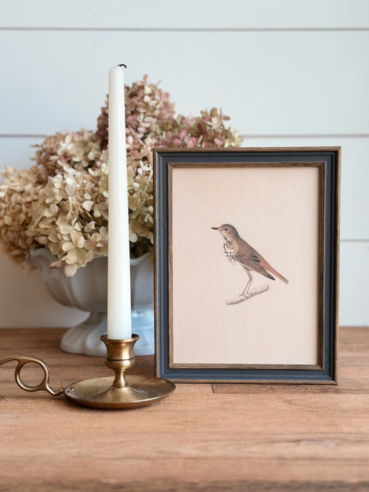 Framed Bird on Canvas