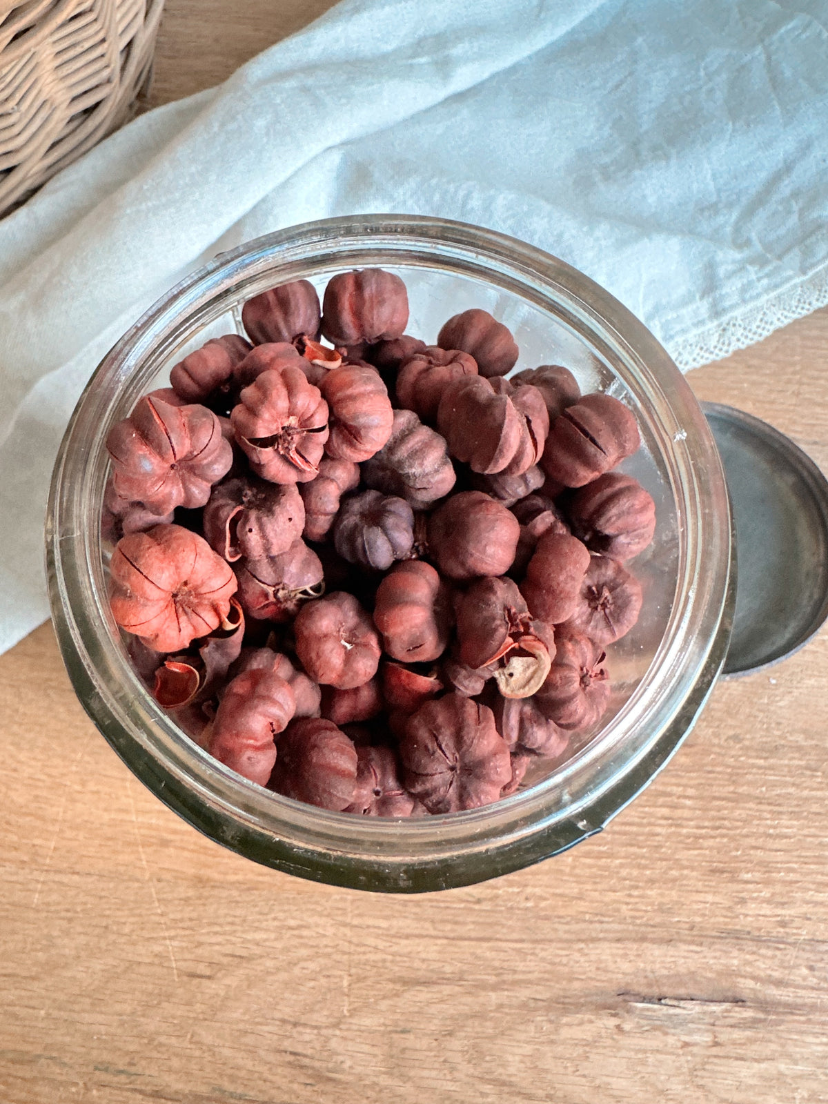 Antique Coffee Canister Filled with Dried Putka Pods
