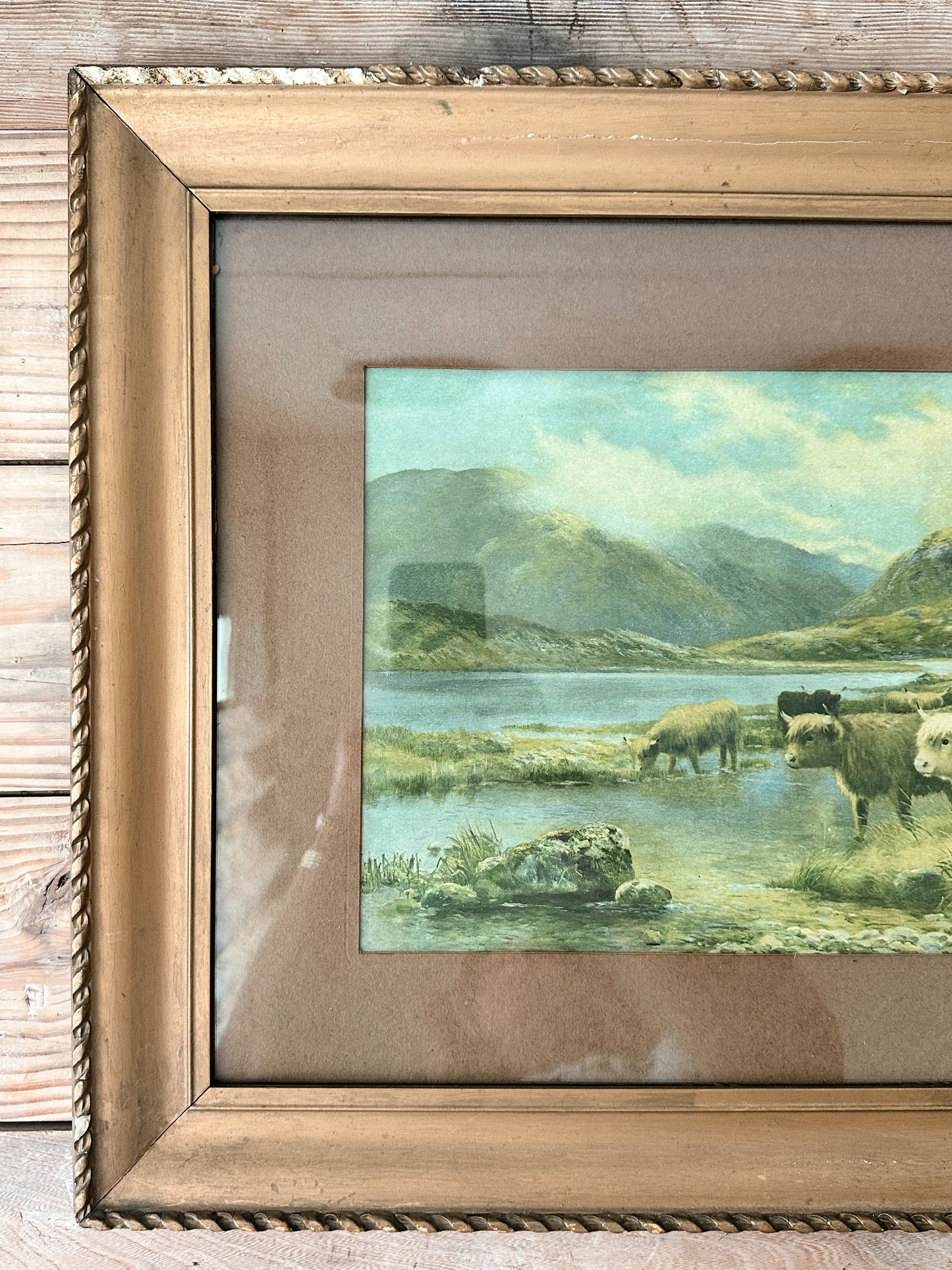 Vintage Highland Cow Print