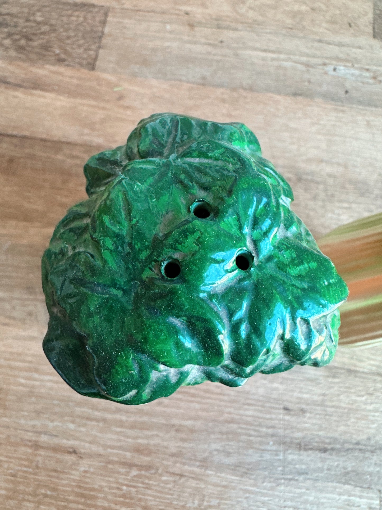 Vintage Carrot & Celery Salt and Pepper Shakers